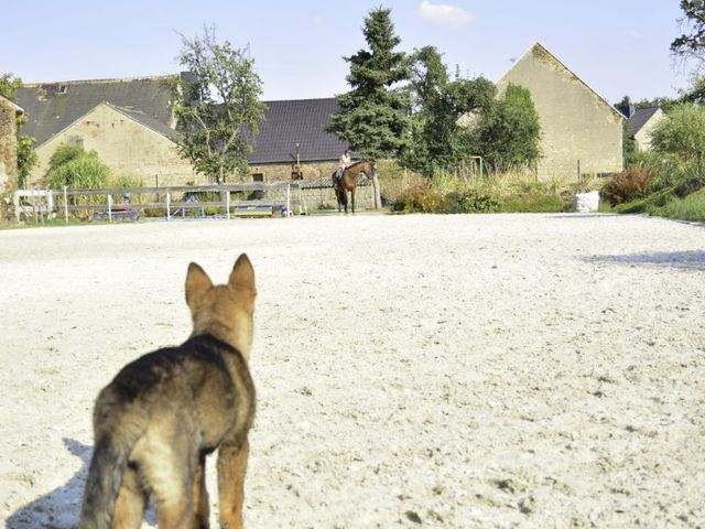 Gut Fischer Reitplatz